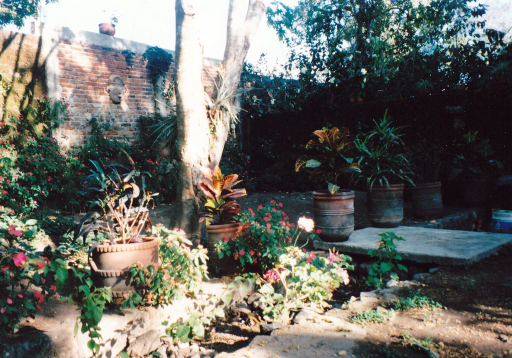 1995mex_0006.jpg (large)