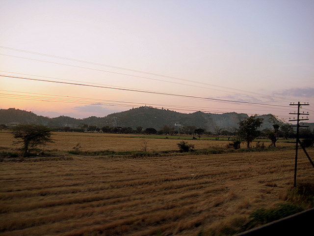 img_4855.jpg (large)