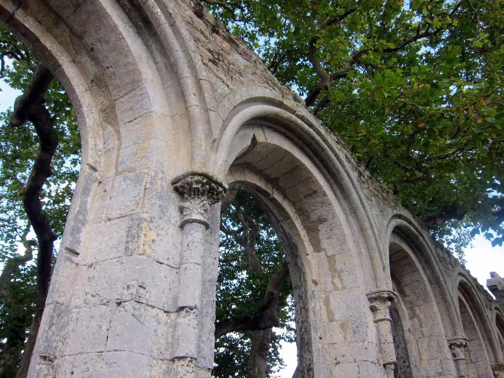 19_img_0730.jpg (large)